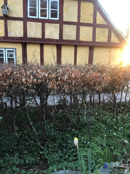 Idyllisk, Historisk Byhus Ved Fjorden I Mariager Exterior foto